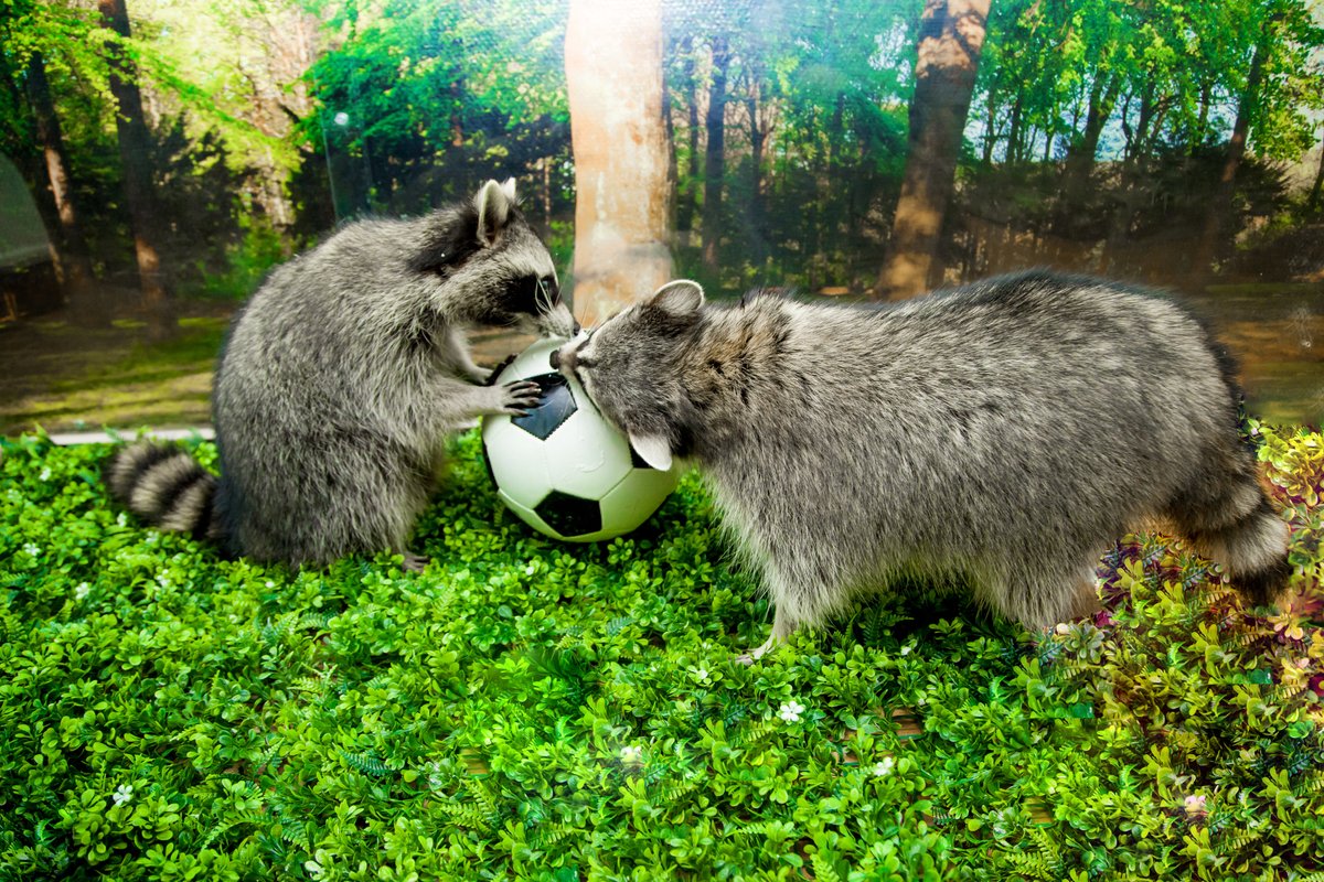 Профессионализм и забота