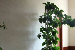 Клиника пограничных состояний СтГМУ, с рейтингом 3.2 - находится по адресу Ставрополь, улица Ленина, 417 к3 