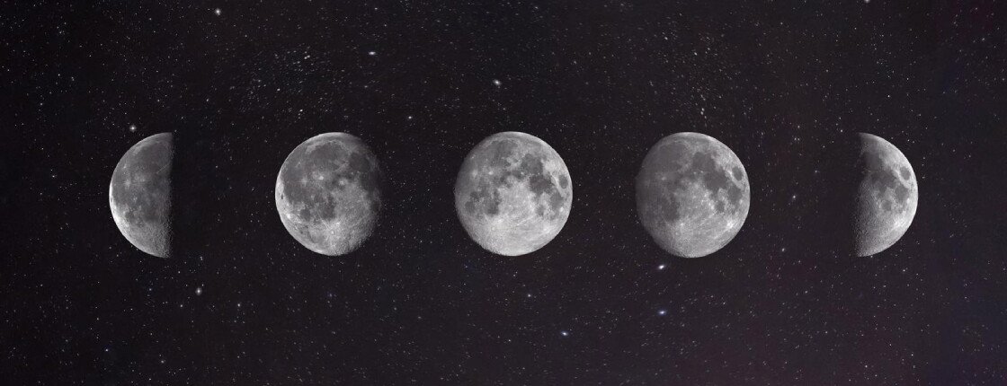 Источник фото: Marcoriveroph / freepik.com