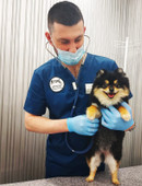 Михайленко Степан Сергеевич