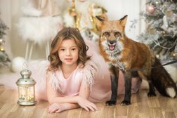Детская фотостудия Dress Maru, с рейтингом 4.7 - находится по адресу Москва, Варшавское шоссе, 33 к4 