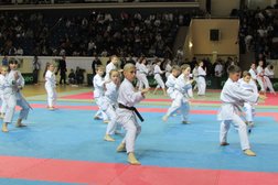 Спортивный клуб Будокан, с рейтингом 2.6 - находится по адресу Смоленск, проспект Гагарина, 10 