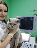 Маламатиди Виолетта Викторовна