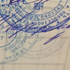 фото от пользователя Алексей в отзыве о ветеринарной клинике Живая планета на улице Свердлова