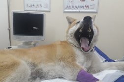 Ветеринарная клиника Ваш доктор, с рейтингом 2.6 - находится по адресу Рязань, улица Электрозаводская, 87 