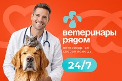 Ветеринарная служба Ветеринары рядом, с рейтингом 5 - находится по адресу Московская область, Балашиха, Советская улица, 10А 
