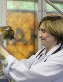 Никитина Евгения Константиновна