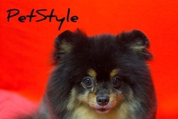 Груминг-салон Pet Style, с рейтингом 2.3 - находится по адресу Московская область, Красногорск, бульвар Космонавтов, 12 к1 