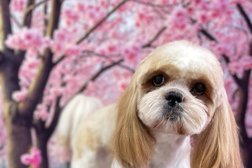 Зоосалон Милый пёс, с рейтингом 3.9 - находится по адресу Новороссийск, Героев Десантников, 24 