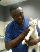 Банколе Гийом Адетунджи