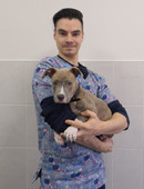 Артемьев Дмитрий Алексеевич