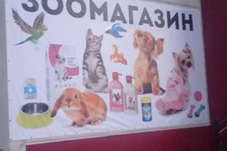 Комплекс Zoogroom, с рейтингом 4.8 - находится по адресу Челябинская область, Миасс, Романенко, 4 