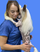 Булгаченко Дарья