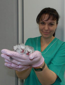 Варшавер Инна Валентиновна