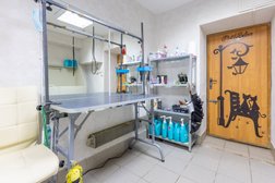 Груминг-салон на улице Вильямса, 30, с рейтингом 5 - находится по адресу Тула, Пролетарский территориальный округ, 300053, улица Вильямса, 30 