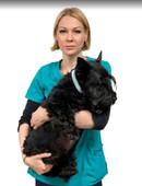 Афоничева Ольга Владимировна