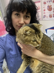 Ветеринарный врач УЗИ, ветеринарный врач-кардиолог Татьяна Борисовна Бреусова