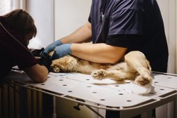 Ветеринарная клиника доктора Беляева, с рейтингом 4.6 - находится по адресу Удмуртская Республика, Ижевск, улица имени Барышникова, 9 