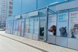 Ветеринарная клиника ДиМагнит Вет, с рейтингом 3.1 - находится по адресу Ростов-на-Дону, улица Жданова, 2/7 