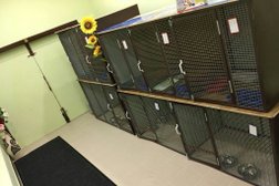 Мой любимец