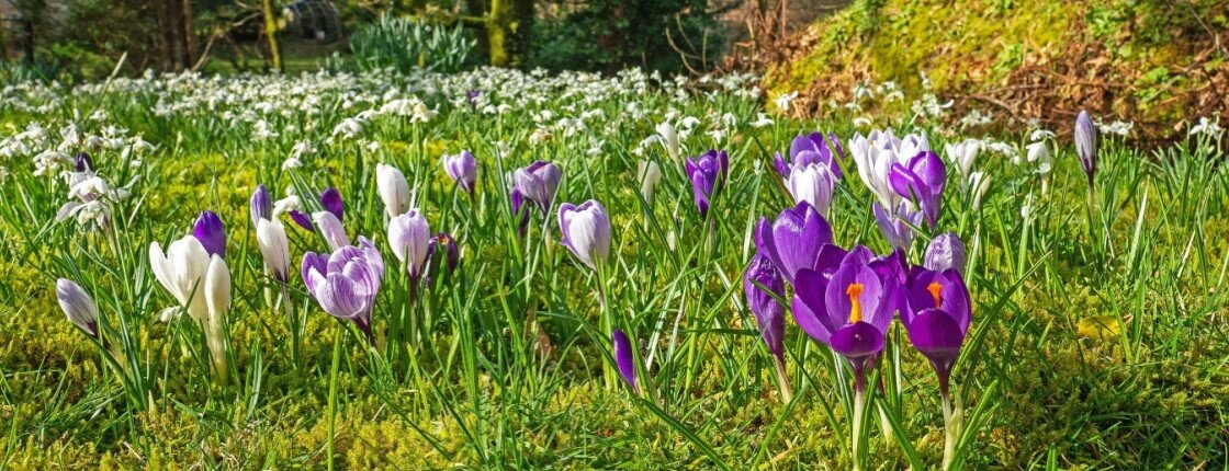 Источник фото: PJ photography / Shutterstock