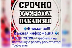 Веснет