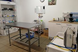 Ветеринарная клиника доктора Петрова, с рейтингом 4 - находится по адресу Самара, улица Братьев Коростелёвых, 154 