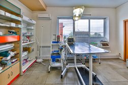 Ветеринарная клиника АлексВет, с рейтингом 4.9 - находится по адресу Самарская область, городской округ Кинель, посёлок городского типа Алексеевка, Невская улица, 6А 