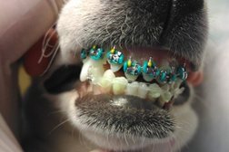 Ветеринарная клиника и стоматология ВетДоктор 31, с рейтингом 3.2 - находится по адресу Белгород, Корочанская улица, 361Б 