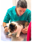 Кузнецова Екатерина Игоревна