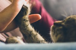 Выездная ветеринарная служба Акита, с рейтингом 4.4 - находится по адресу Красноярск, улица Сергея Куликова, 10А 