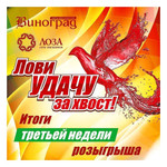 Магазин Виноград Иркутск Официальный Сайт Каталог