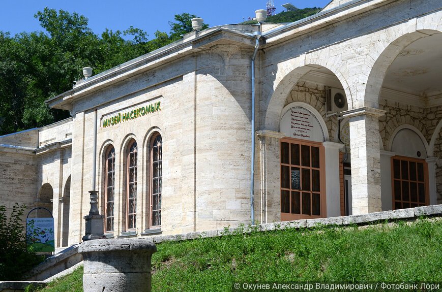 Музей насекомых в Академической галерее в Пятигорске
