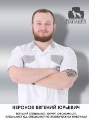 Ветеринарный хирург, ветеринар Евгений Юрьевич Неронов
