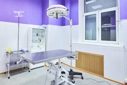 Ветеринарная клиника ЛиМ
