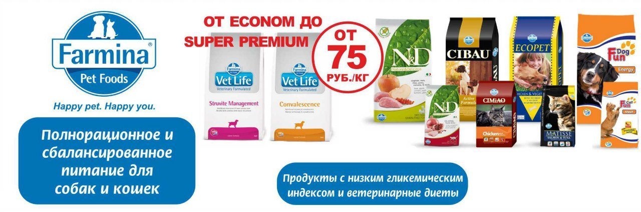Дисконтная карта кзвс