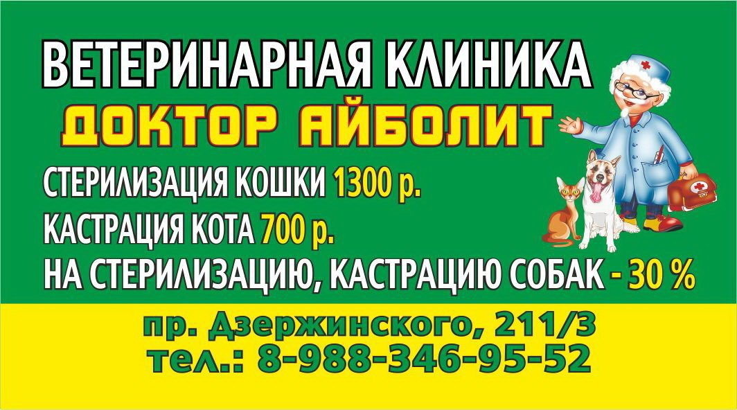 Ветеринарная аптека новороссийск. Доктор Айболит ветклиника Новороссийск. Ветеринарка Новороссийск.