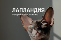 Ветеринарная клиника ЛапЛандия, с рейтингом 4.6 - находится по адресу Нижний Новгород, улица имени Генерала И.Д. Ивлиева, 1Б 