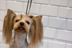 Зоопарикмахерская Just groomer, с рейтингом 2 - находится по адресу Московская область, Коломна, улица Ленина, 73 