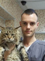 Ветеринарный гастроэнтеролог, ветеринар Павел Викторович Назаров