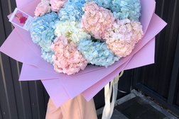 Цветочный магазин Bon_Pion, с рейтингом 5 - находится по адресу Краснодар, улица Академика Трубилина, 142 