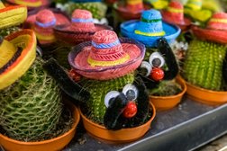 Оптовый склад цветов Флора Лэнд, с рейтингом 4.9 - находится по адресу Москва, 1-й Вешняковский проезд, 2а 