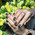 фотография 4hands