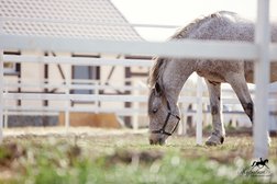 Загородный клуб Журавка, с рейтингом 3.6 - находится по адресу Брянская область, с. Журавка, Центральная улица, 1а 