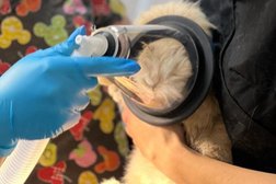 Ветеринарная клиника ВетПлюс, с рейтингом 3.1 - находится по адресу Белгород, Белгородский проспект, 50 