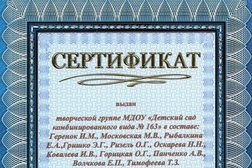 №163 комбинированного вида