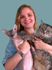 Ветеринарный врач УЗИ, ветеринар Елизавета Николаевна Сытник