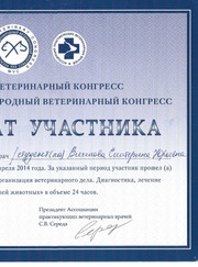 Ветеринарный врач-терапевт, ветеринар Екатерина Юрьевна Вилкова