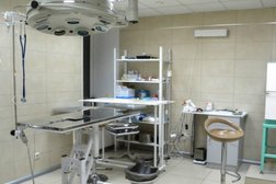 Ветеринарная клиника Центровет, с рейтингом 3.9 - находится по адресу Красноярск, улица Копылова, 44 