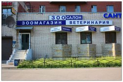 Зооветцентр Северная пальмира, с рейтингом 2.8 - находится по адресу Санкт-Петербург, улица Савушкина, 131 